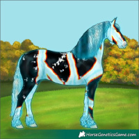Horse Color:Thunderstruck Red Onyx Ice Sabino Appaloosa 