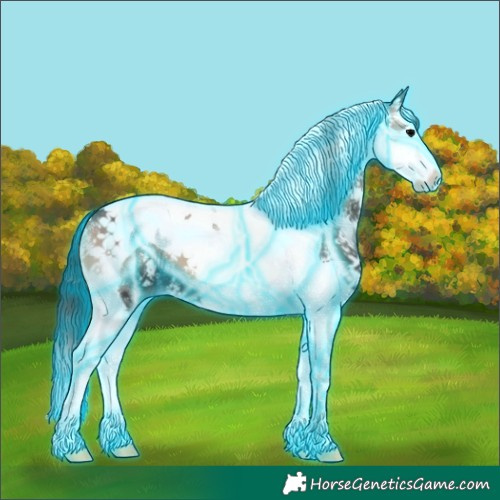 Horse Color:Thunderstruck Blue Onyx Sabino Splash Tobiano 