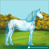 Horse Color:Thunderstruck Blue Onyx Sabino Splash Tobiano
