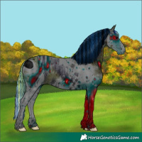 Horse Color:ERROR: UNKNOWN ANOMALY