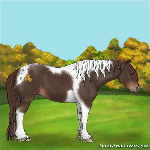 Horse Color:Liver Chestnut Tobiano 