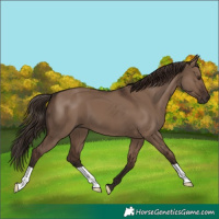 Horse Color:Liver Red Dun
