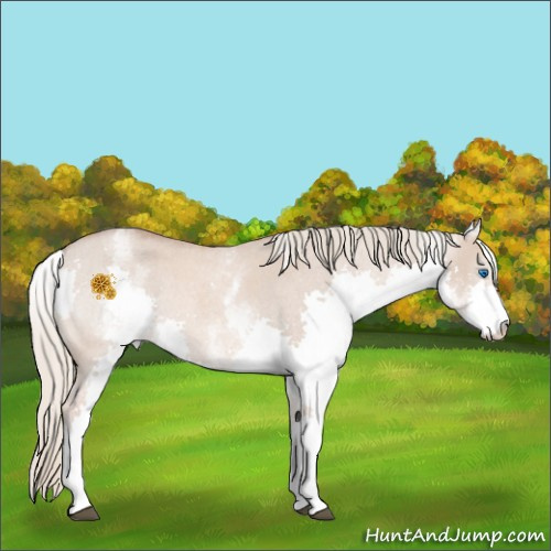 Horse Color:White Spotted Red Dun Roan Mushroom Splash 