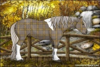 Horse Color:Plaid Silver Black Tobiano