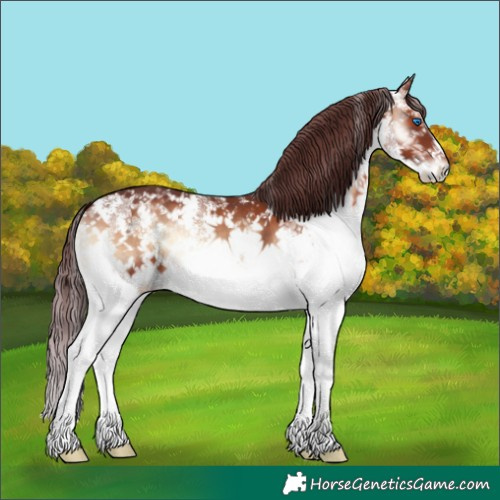 Horse Color:Chocolate Brown Onyx Sabino Splash 