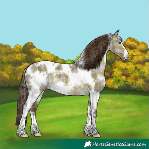 Horse Color:Platinum Plaid  White Spotted Chocolate Brown Dun 