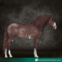 Horse Color:Platinum Chocolate Brown 