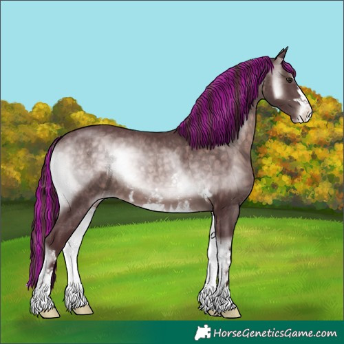 Horse Color:Platinum Painted Chocolate Brown Onyx Appaloosa 