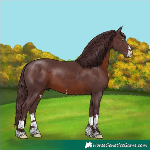 Horse Color:Chocolate Brown 