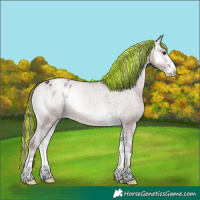 Horse Color:Platinum Painted Chocolate Brown Onyx Appaloosa 