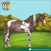 Horse Color:Platinum Painted Chocolate Brown Tobiano Varnish 