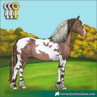 Horse Color:Platinum Painted Chocolate Brown Tobiano Appaloosa 