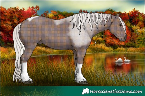Horse Color:Plaid White Spotted Silver Black Tobiano