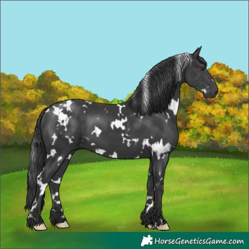 Horse Color:Platinum White Spotted Black 