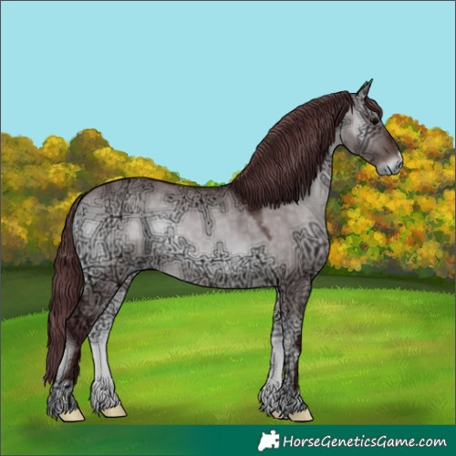 Horse Color:Platinum Chocolate Brown Ice Onyx