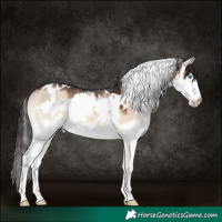 Horse Color:White Spotted Brown Onyx Splash 