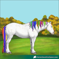 Horse Color:Painted White Spotted Silver Buckskin Ice Pearl Onyx Splash Appaloosa Brindle 