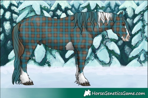 Horse Color:Plaid  Liver Chestnut Splash Tobiano 