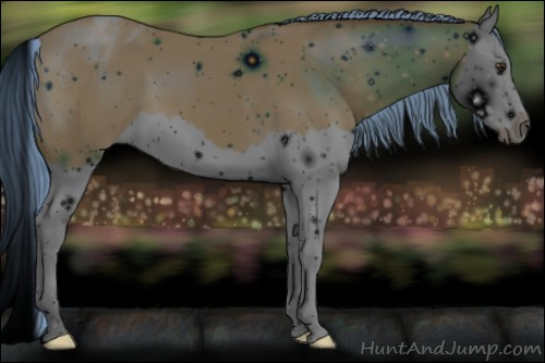 Horse Color:ERROR: UNKNOWN ANOMALY