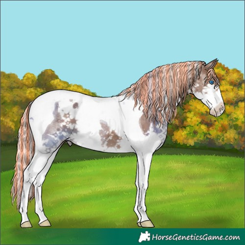 Horse Color:Painted White Spotted Silver Black Splash Tobiano 