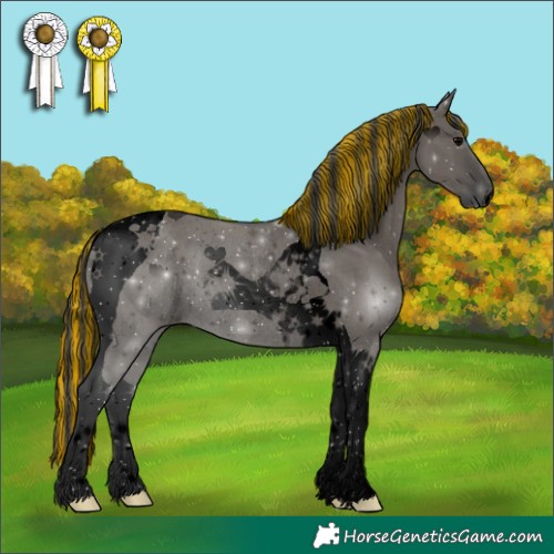 Horse Color:Void Painted Grullo Tobiano Rabicano