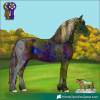 Horse Color:ERROR: UNKNOWN ANOMALY