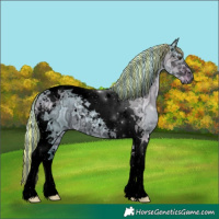 Horse Color:Void Painted Watercolor Liver Red Dun Ice Tobiano