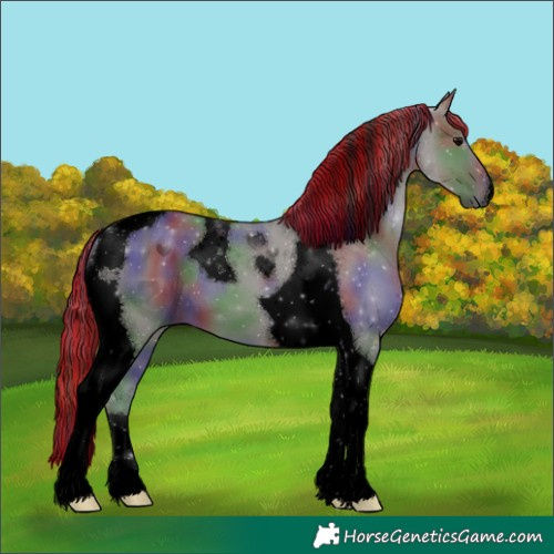 Horse Color:Void Painted Nacre Grullo Tobiano 