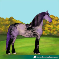 Horse Color:Void Watercolor Grullo Chinchilla Tobiano Brindle 