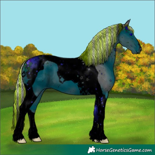 Horse Color:ERROR: UNKNOWN ANOMALY