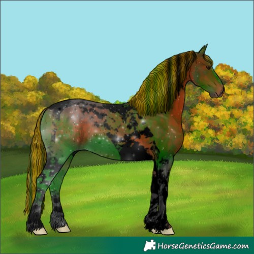 Horse Color:Void Painted Brown Tobiano 