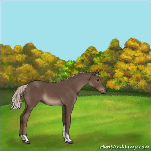 Horse Color:Silver Black Tobiano 