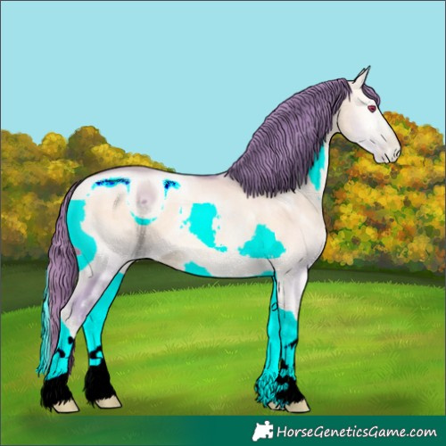 Horse Color:ERROR: UNKNOWN ANOMALY