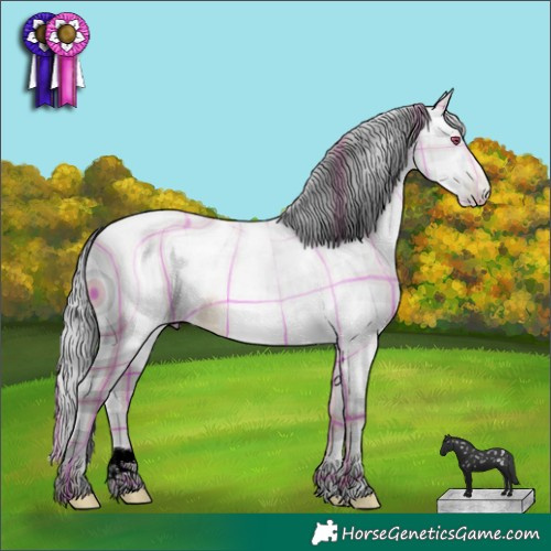 Horse Color:ERROR: UNKNOWN ANOMALY