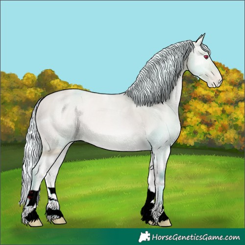 Horse Color:ERROR: UNKNOWN ANOMALY