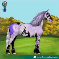 Horse Color:ERROR: UNKNOWN ANOMALY
