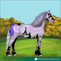Horse Color:ERROR: UNKNOWN ANOMALY