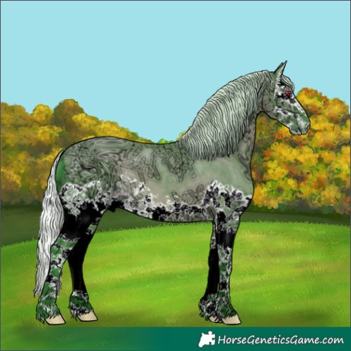 Horse Color:ERROR: UNKNOWN ANOMALY