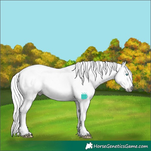 Horse Color:Gray Gold Champagne Frame Appaloosa 