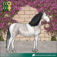 Horse Color:Grullo Ice Onyx Sabino Tobiano 