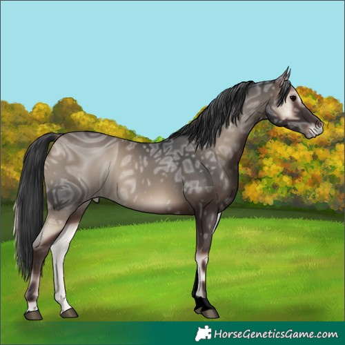 Horse Color:ERROR: UNKNOWN ANOMALY