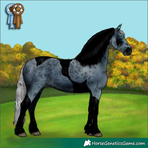 Horse Color:ERROR: UNKNOWN ANOMALY