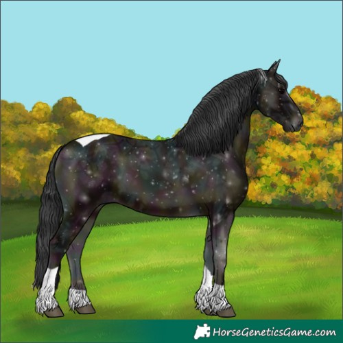 Horse Color:Midnight Blue Onyx Ice Tobiano 