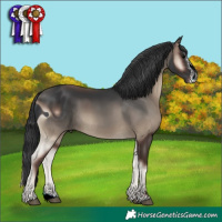 Horse Color:ERROR: UNKNOWN ANOMALY