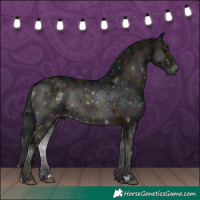 Horse Color:Midnight Blue Onyx Rabicano