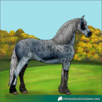 Horse Color:ERROR: UNKNOWN ANOMALY