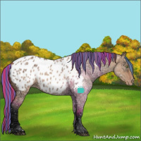 Horse Color:Painted Bay Ice Roan Dun Appaloosa 
