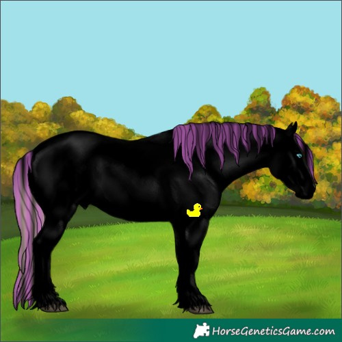 Horse Color:Void Painted Red Onyx Ice Sabino Splash Tobiano Frame Appaloosa 