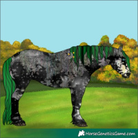 Horse Color:Void Painted Bay Ice Roan Dun Splash Tobiano