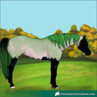 Horse Color:Void Platinum Watercolor White Spotted Brown Dun Splash 